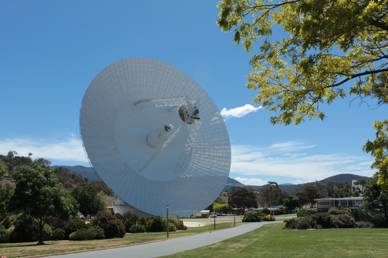 Deep Space Station 43 in the distance, with a road in front and a green leaf tree on the right of the photo